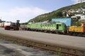 Green cargo locomotive