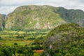 Green caribbean valley with mogotes hills landscape, Vinales, Pinar Del Rio, Cuba