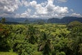 Green caribbean valley with small cuban houses and mogotes hills landscape panorama, Vinales, Pinar Del Rio, Cuba