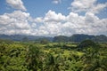 Green caribbean valley with small cuban houses and mogotes hills landscape panorama, Vinales, Pinar Del Rio, Cuba