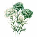 Green Carnations Flower Watercolor Painting With Classic Tattoo Motifs