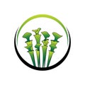 Green Carnivorous Sarracenia plant logo template 02 Royalty Free Stock Photo