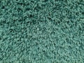 Green carpet flooring,fluffy wool, texture, background Royalty Free Stock Photo