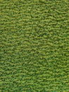 Green carpet, Texture of carpet background, Close up of green yarn carpet Royalty Free Stock Photo