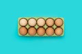 Green carton of different eggs. Easter background