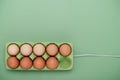 Green carton of eggs with cable. Loading Easter background