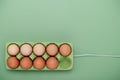 Green carton of eggs with cable. Loading Easter background Royalty Free Stock Photo