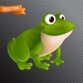 Green cartoon frog character with big eyes sitting and smiling. Vector illustration isolated on a transparent background Royalty Free Stock Photo