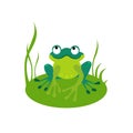 Green Cartoon Frog Vector Illustration Royalty Free Stock Photo