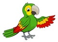 Green Cartoon Parrot