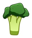 Green cartoon style broccoli on white background Royalty Free Stock Photo