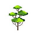 Green cartoon tree. Deciduous tree. Isolated object for design.