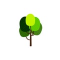 Green cartoon tree. Deciduous tree. Isolated object for design.