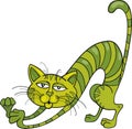 Green Cat Royalty Free Stock Photo
