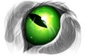 Green cat eye Royalty Free Stock Photo