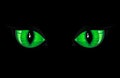 Green Cat Eyes Royalty Free Stock Photo
