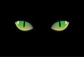 Green cat eyes Royalty Free Stock Photo
