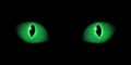 Green cat eyes, composed from light particles. Vector illustration Royalty Free Stock Photo