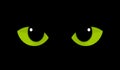 Green cat eyes in darkness Royalty Free Stock Photo