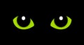 Green cat eyes in the darkness Royalty Free Stock Photo