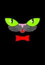 Green cat eyes and a red bow tie. Muzzle your pet on a black bac Royalty Free Stock Photo