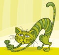 Green Cat stretching Royalty Free Stock Photo