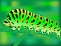 Green caterpillar sitting on a branch