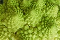 Green cauliflower