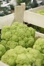 Green cauliflower in a grocery