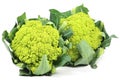 Green cauliflower heads