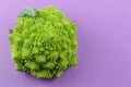 Green cauliflower - Romanesco - Purple Background