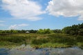 Green Cay Wetlands Royalty Free Stock Photo