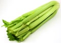 Green celery bunch , organic on white