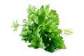 Green celery isolated on white background Royalty Free Stock Photo