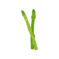 Green celery stalk. Healthy food and vegetarianism. Royalty Free Stock Photo