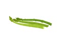 Green celery stalk. Organic food and vegetarianism. Royalty Free Stock Photo