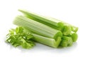 Green celery sticks and leaf Royalty Free Stock Photo