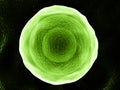 Green cell- 3D illustration Royalty Free Stock Photo