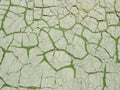 Green cement wall with cracked paint. Abstract grunge texture background. Copy space, empty template for text Royalty Free Stock Photo