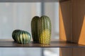 Green ceramic cactus pottery doll home interior and souvenirs display on glass shelf for living decoration building Royalty Free Stock Photo