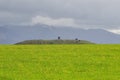 Green cereal fields, in a slightly undulating landscape