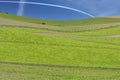 Green cereal fields, in a slightly undulating landscape