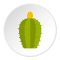 Green Cereus Candicans cactus icon circle Royalty Free Stock Photo