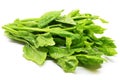 Green Ceylon Spinach