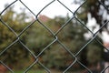 Green chain link fence up close blurred background