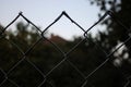 Green chain link fence up close blurred background Royalty Free Stock Photo