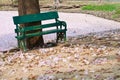 Green chair in the garden