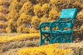 Green chair in the public park. Royalty Free Stock Photo
