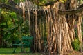 Green Chair in public park under the tree Royalty Free Stock Photo