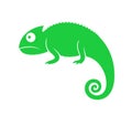 Green chameleon. Abstract chameleon on white background Royalty Free Stock Photo
